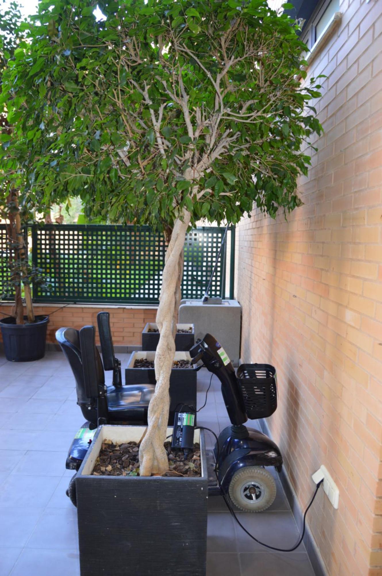 Albir Beach & Sea Apt El Albir Dış mekan fotoğraf